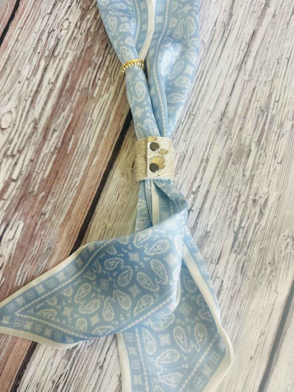 5 Baby Blue Paisley Twillys