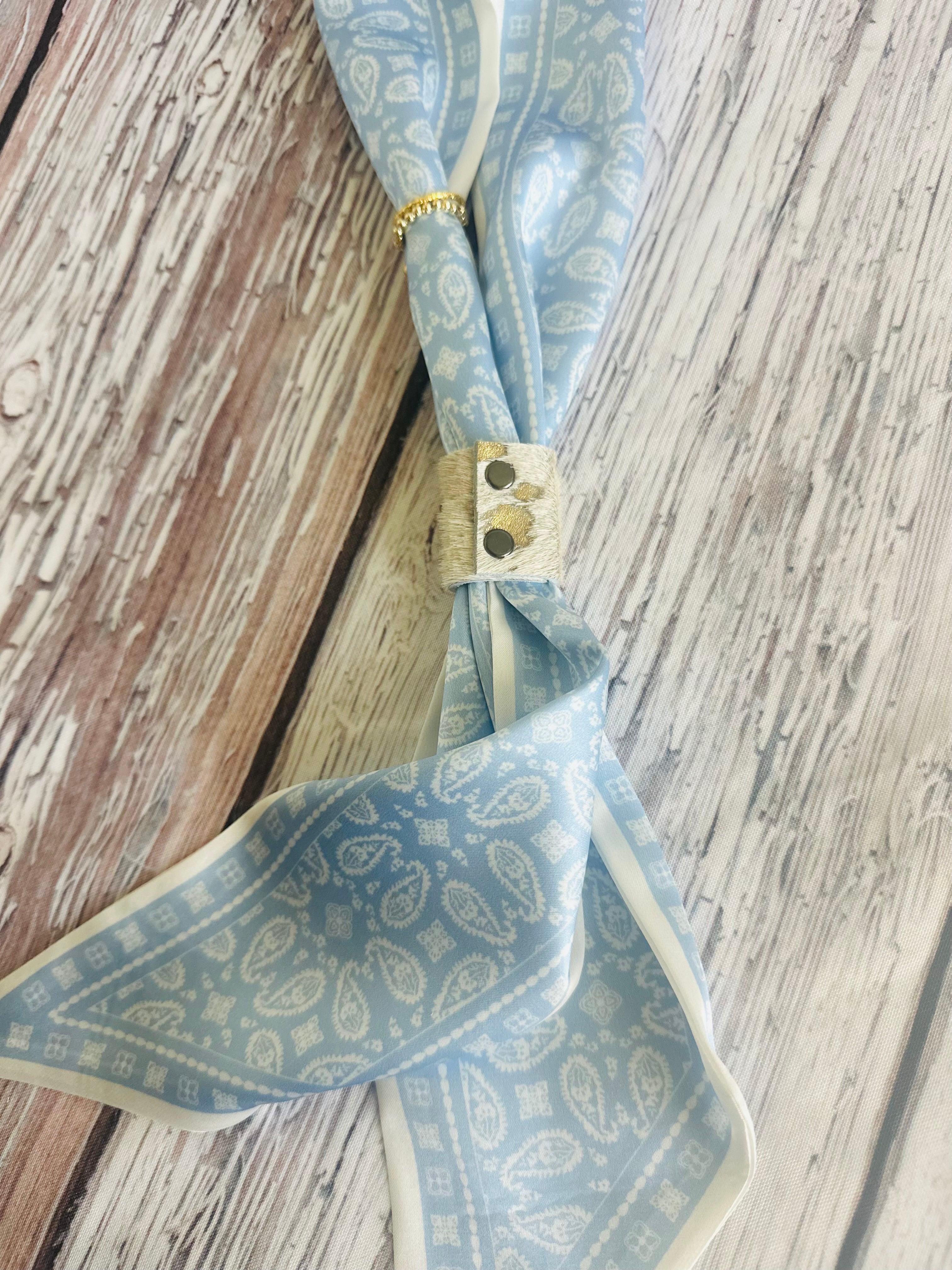 5 Baby Blue Paisley Twillys