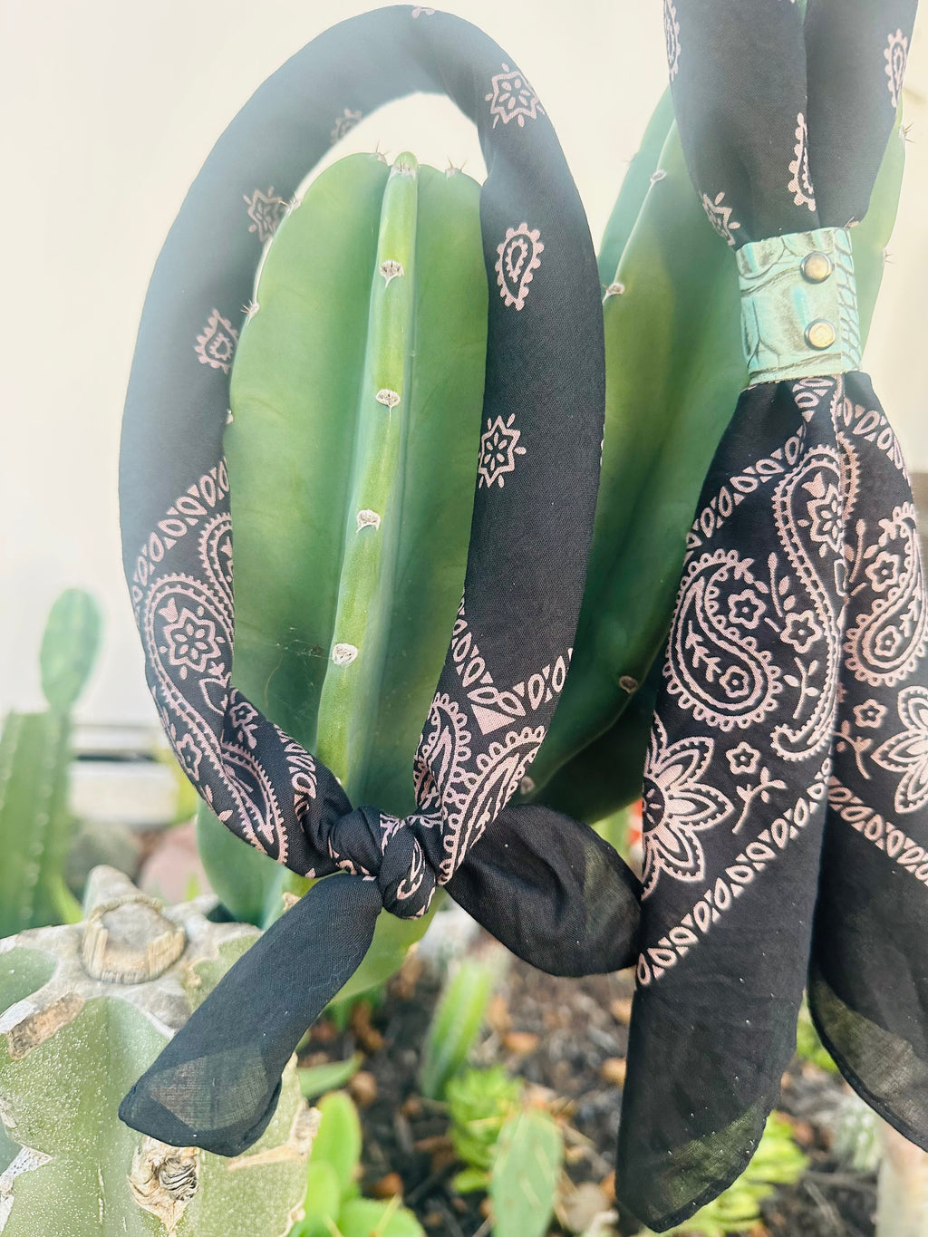 5- Vintage Black Bandanas