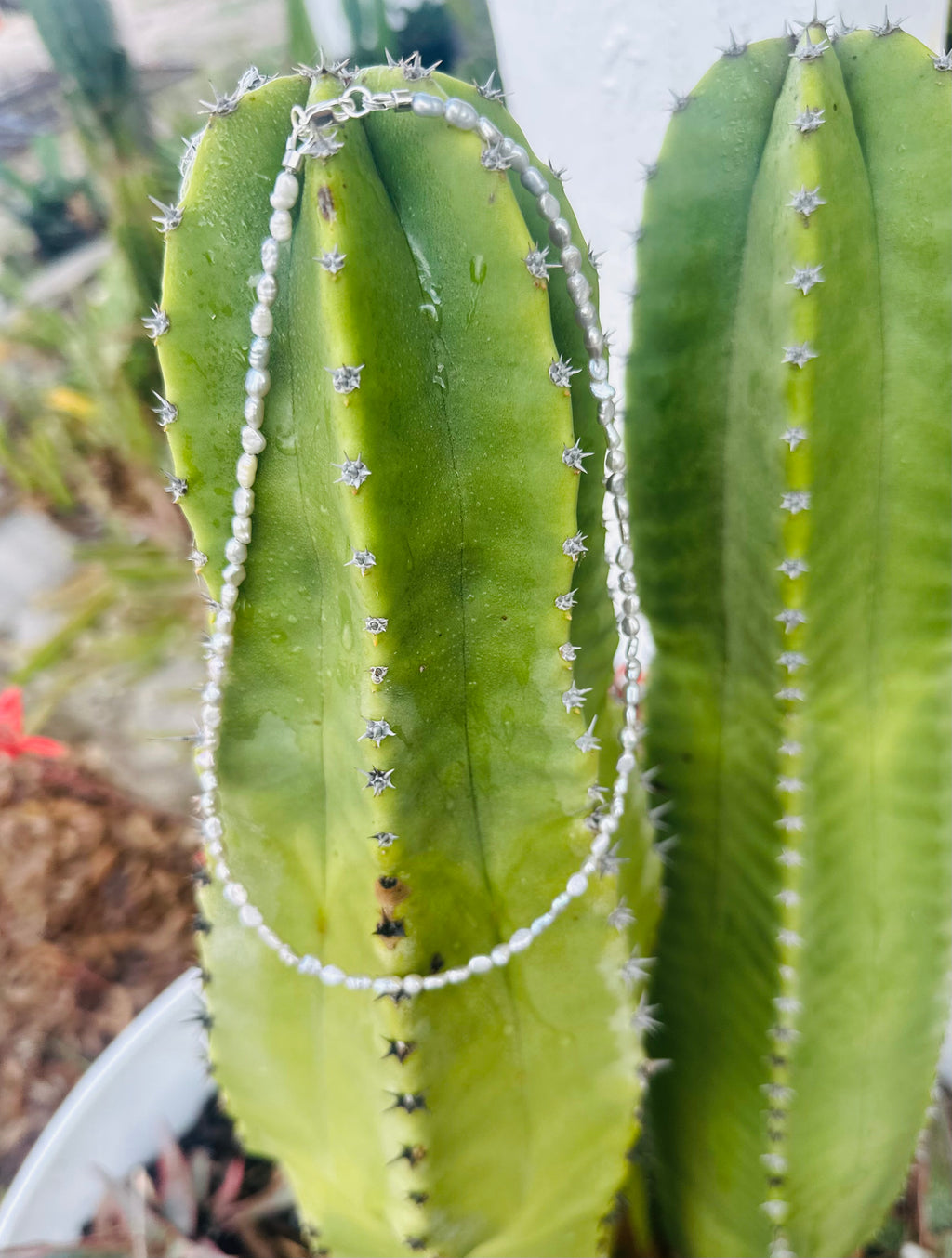 Tiny Silver Pearl Necklace