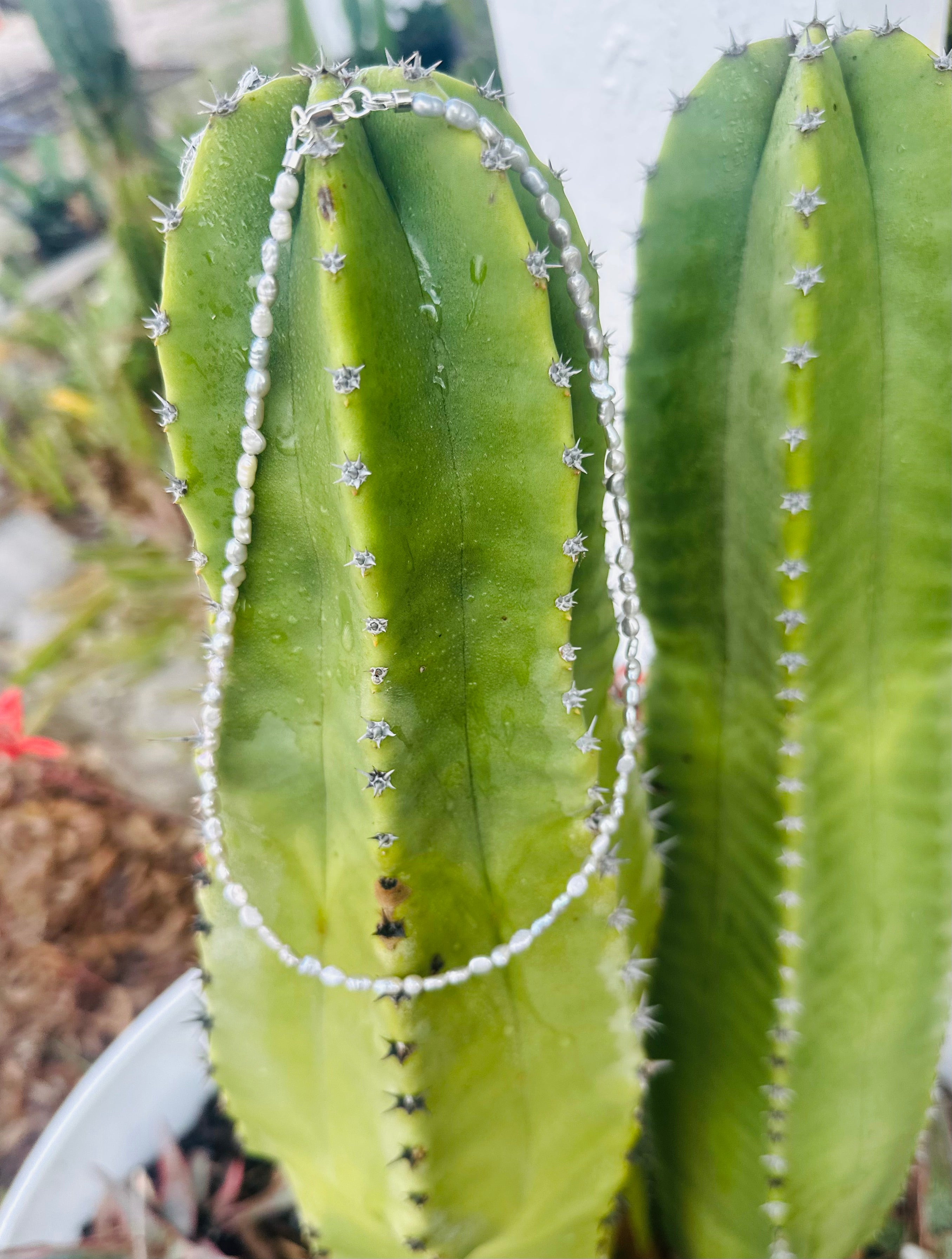 Tiny Silver Pearl Necklace