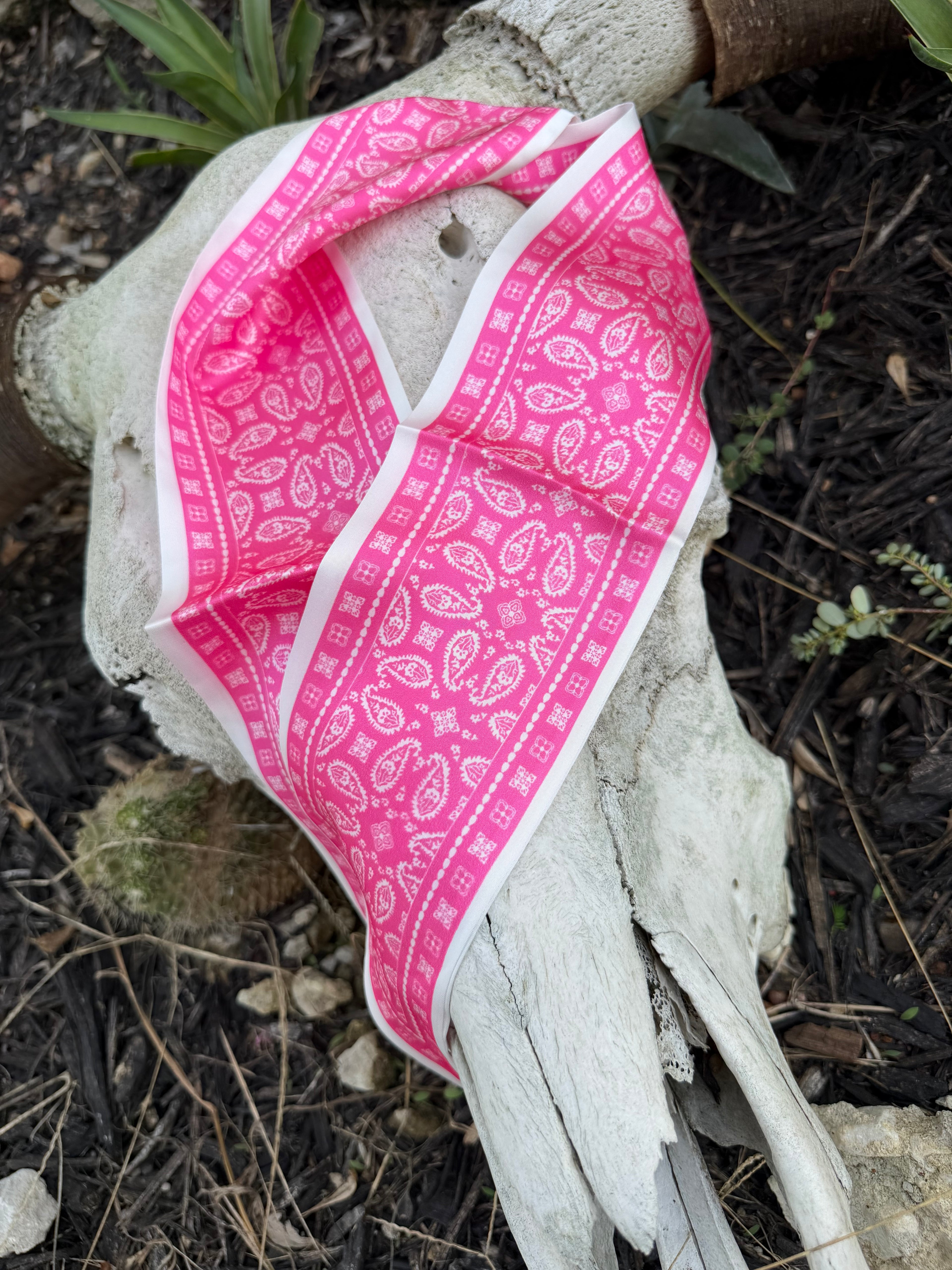 5 Hot Pink Paisley Twillys