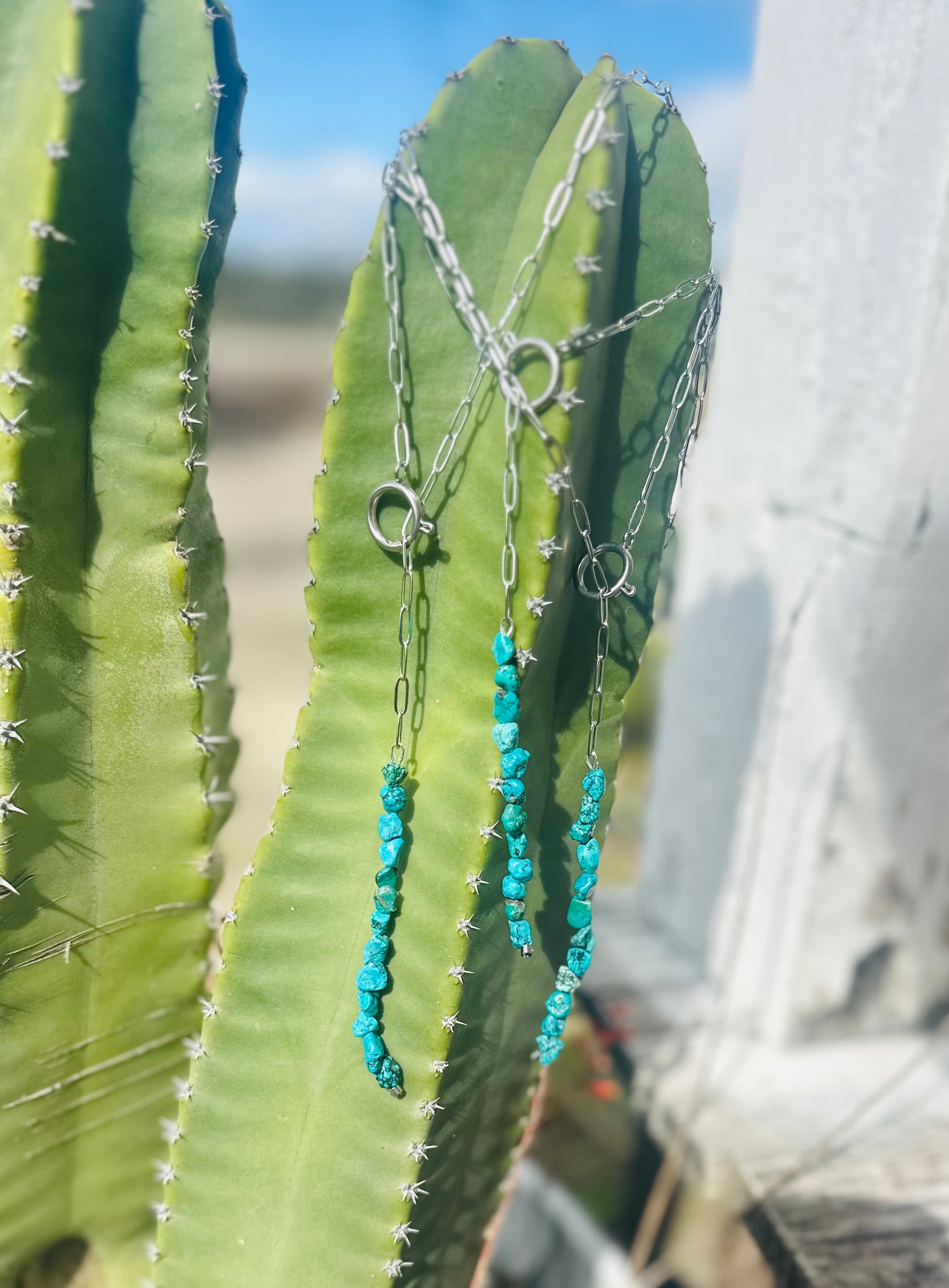 Lariat Turquoise Necklace