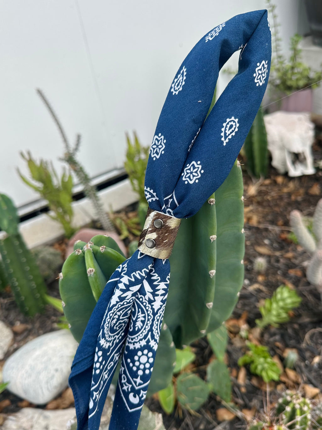 5- Navy Bandanas