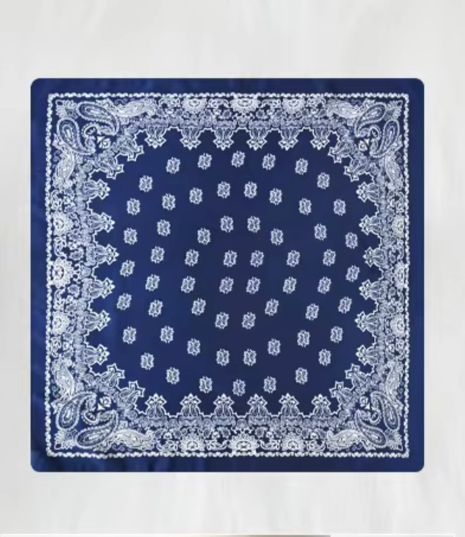 5 Navy Paisley Wild Rags