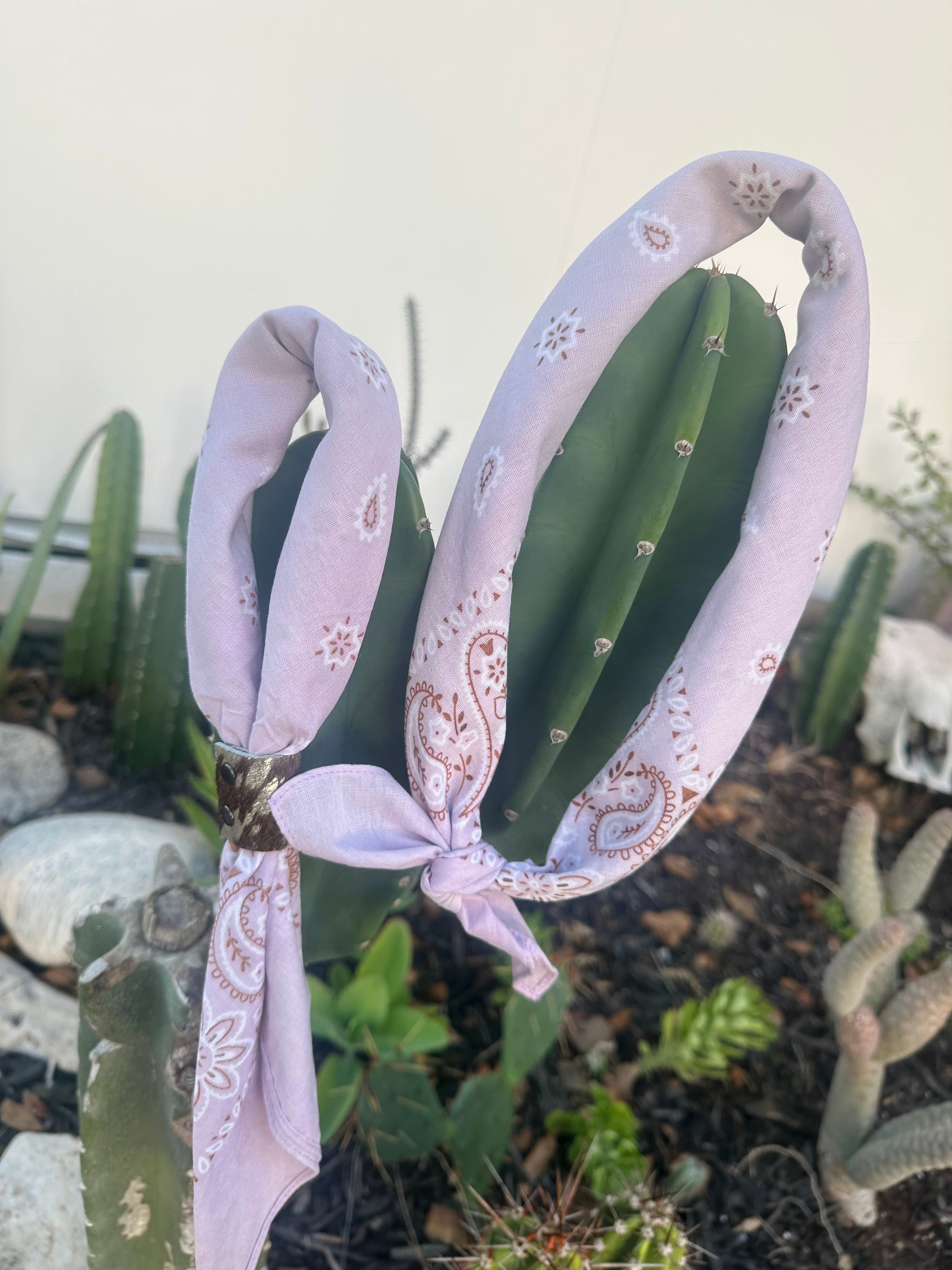 5- Lavender Bandanas