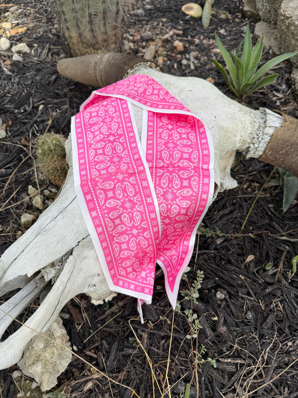 5 Hot Pink Paisley Twillys