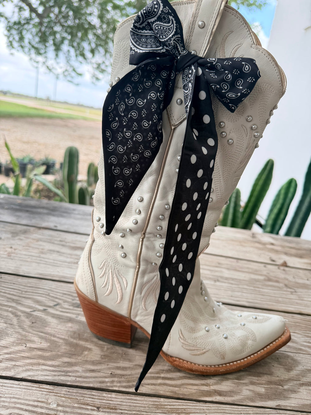 Boot Twilly - Black Paisley