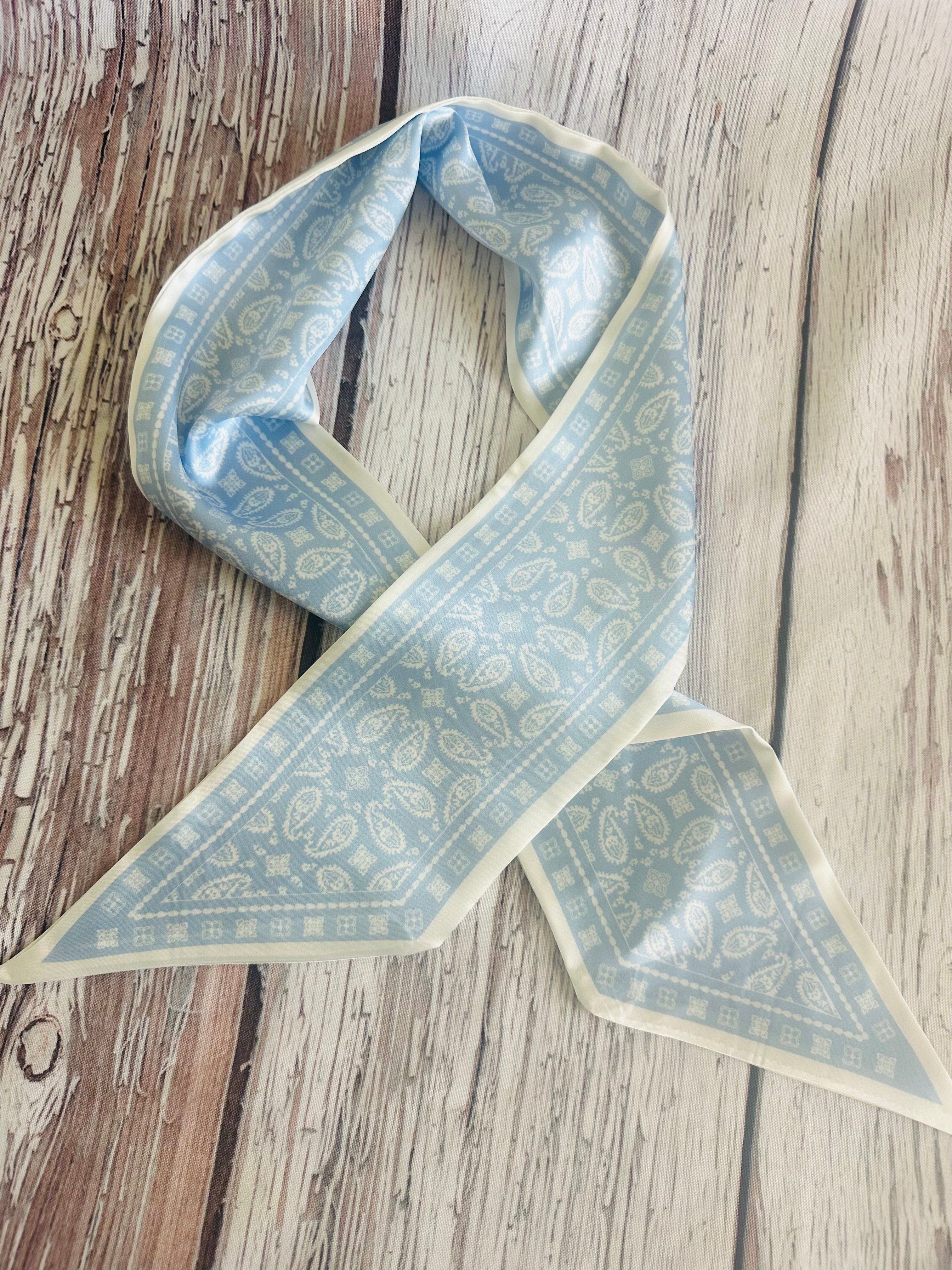 5 Baby Blue Paisley Twillys