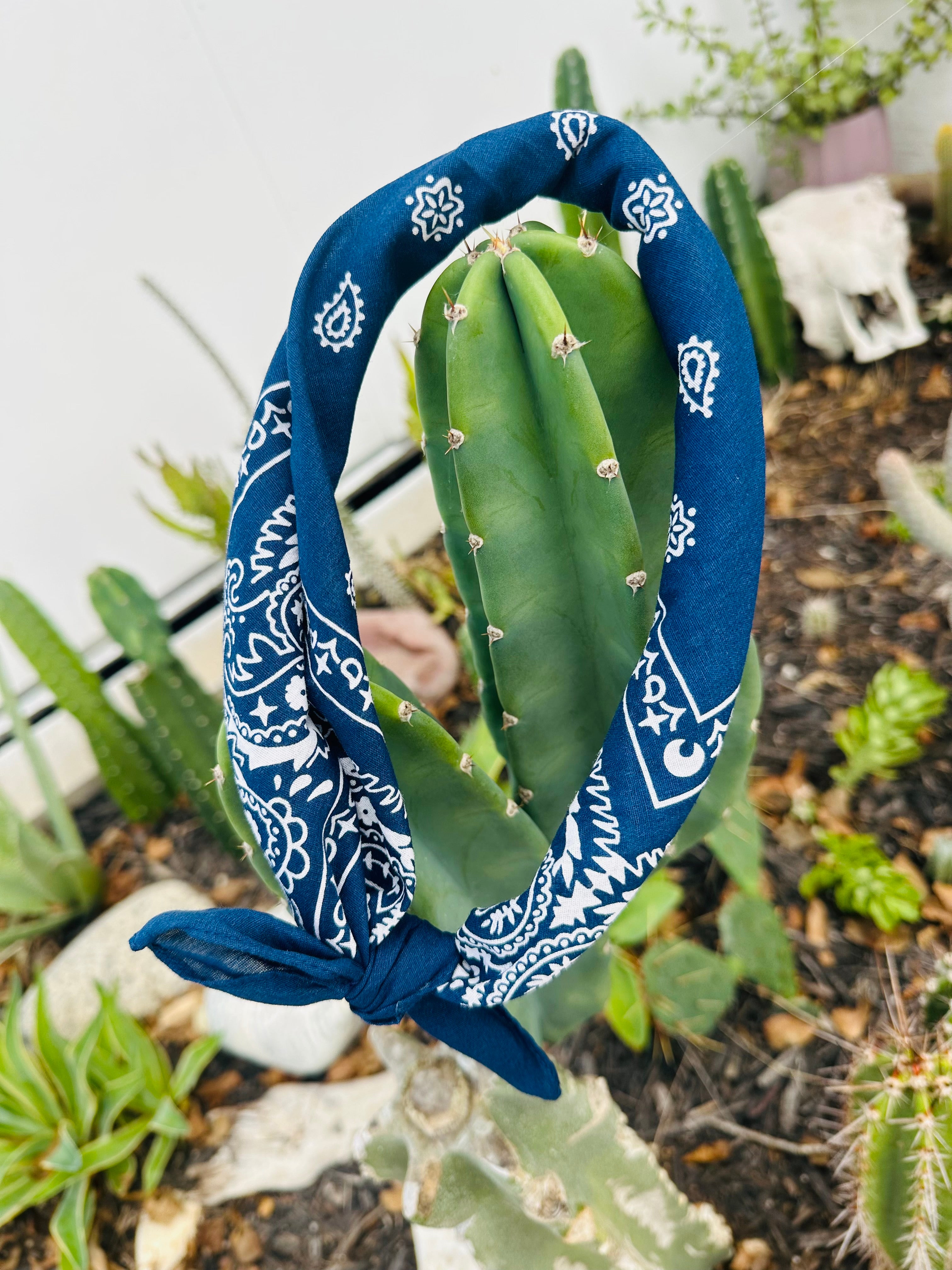5- Navy Bandanas