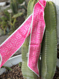 5 Hot Pink Paisley Twillys
