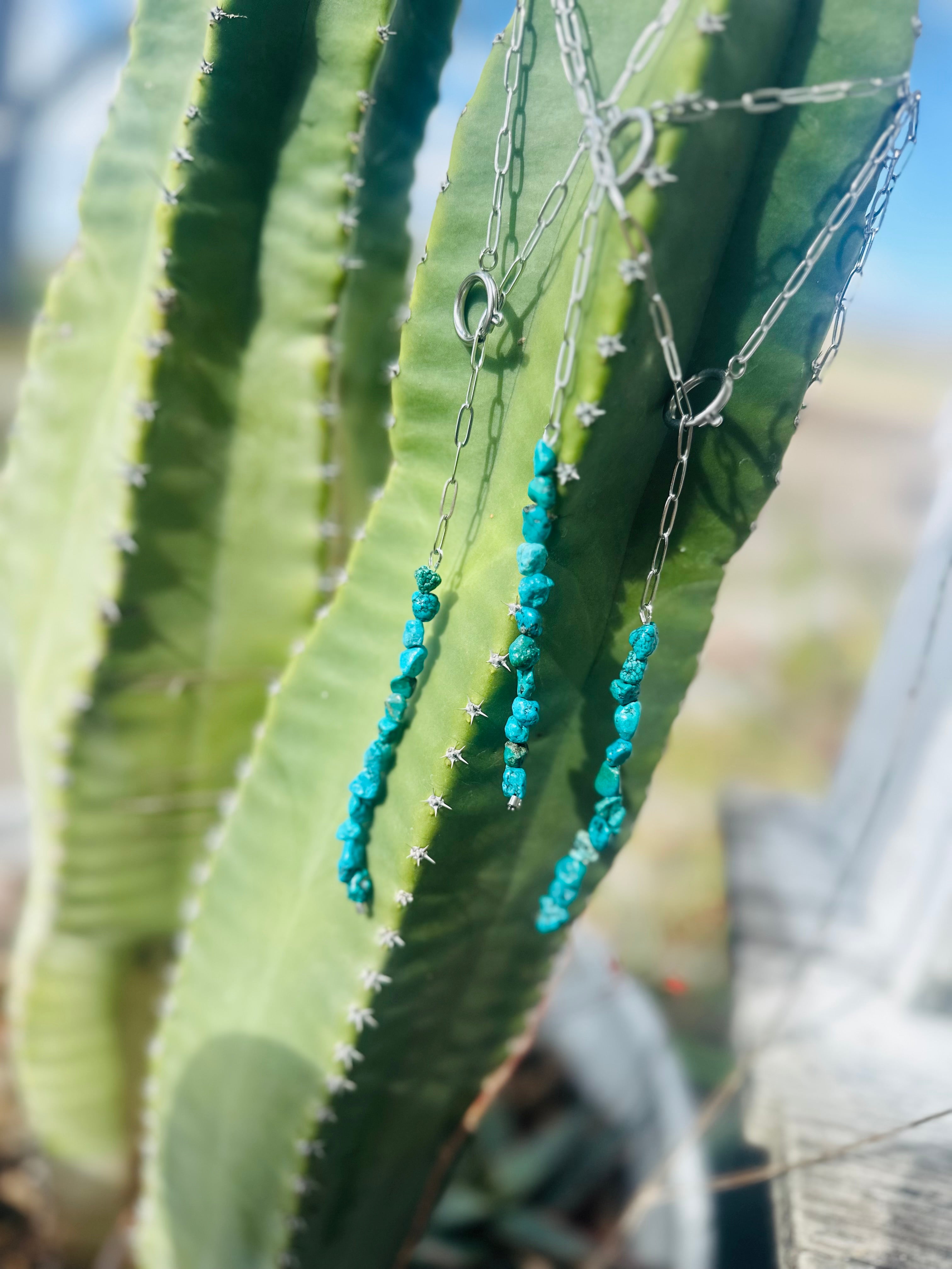Lariat Turquoise Necklace