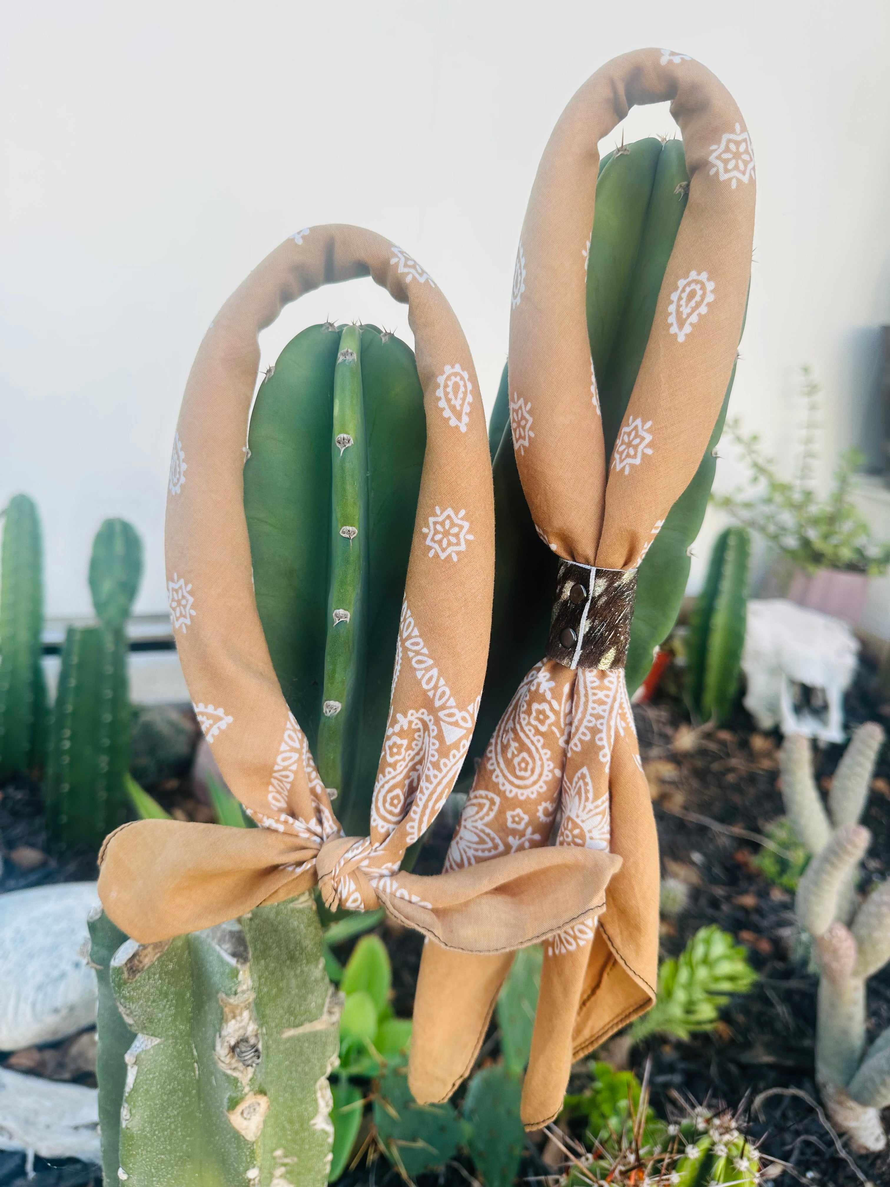 5- Terracotta Mix Bandanas