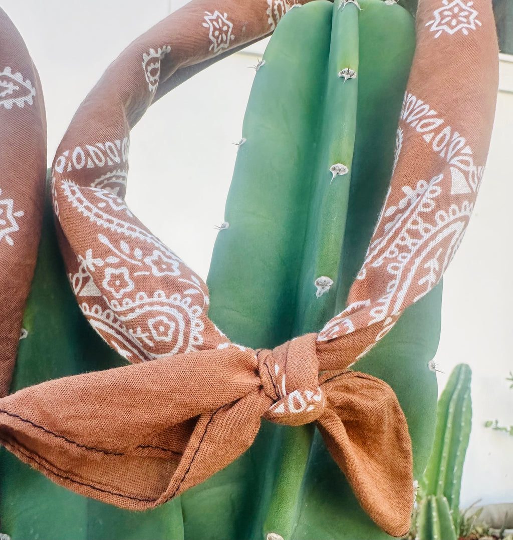 5- Terracotta Mix Bandanas