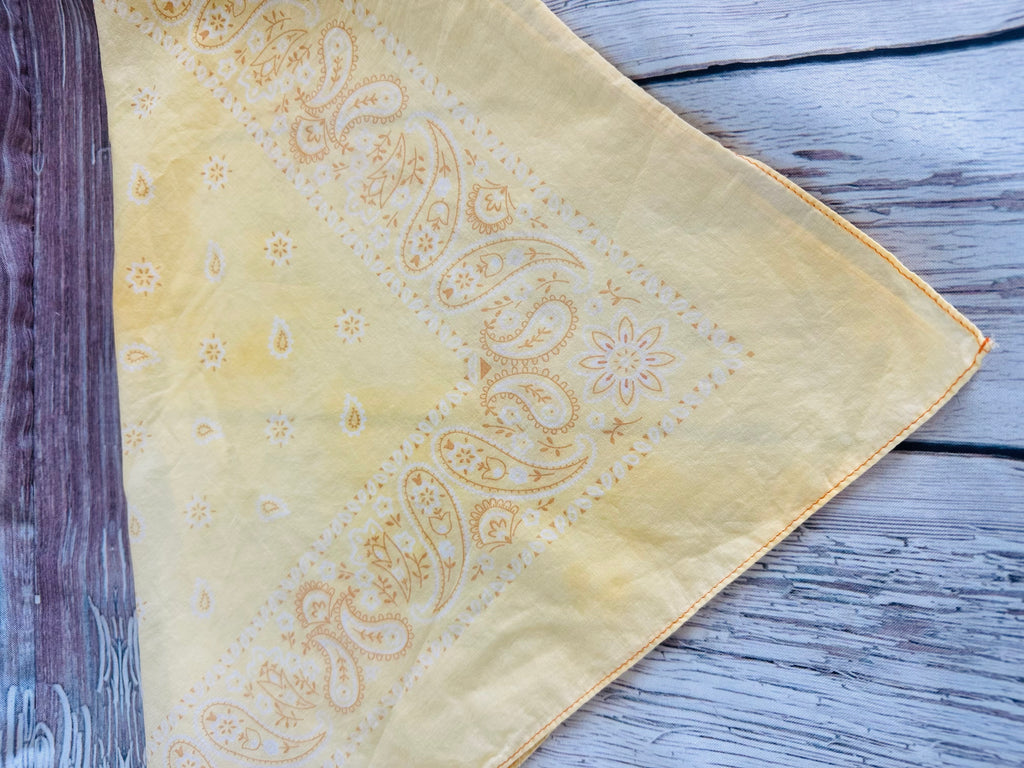 5- Butter Yellow Bandanas