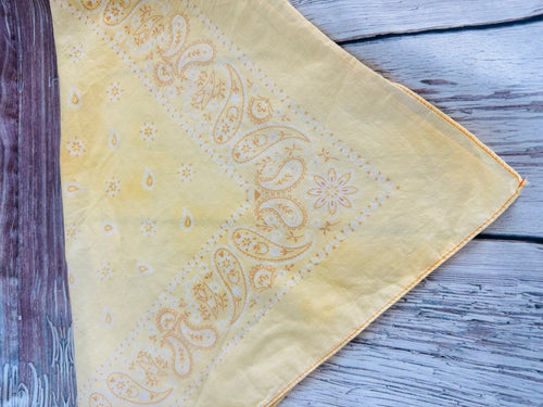 5- Butter Yellow Bandanas