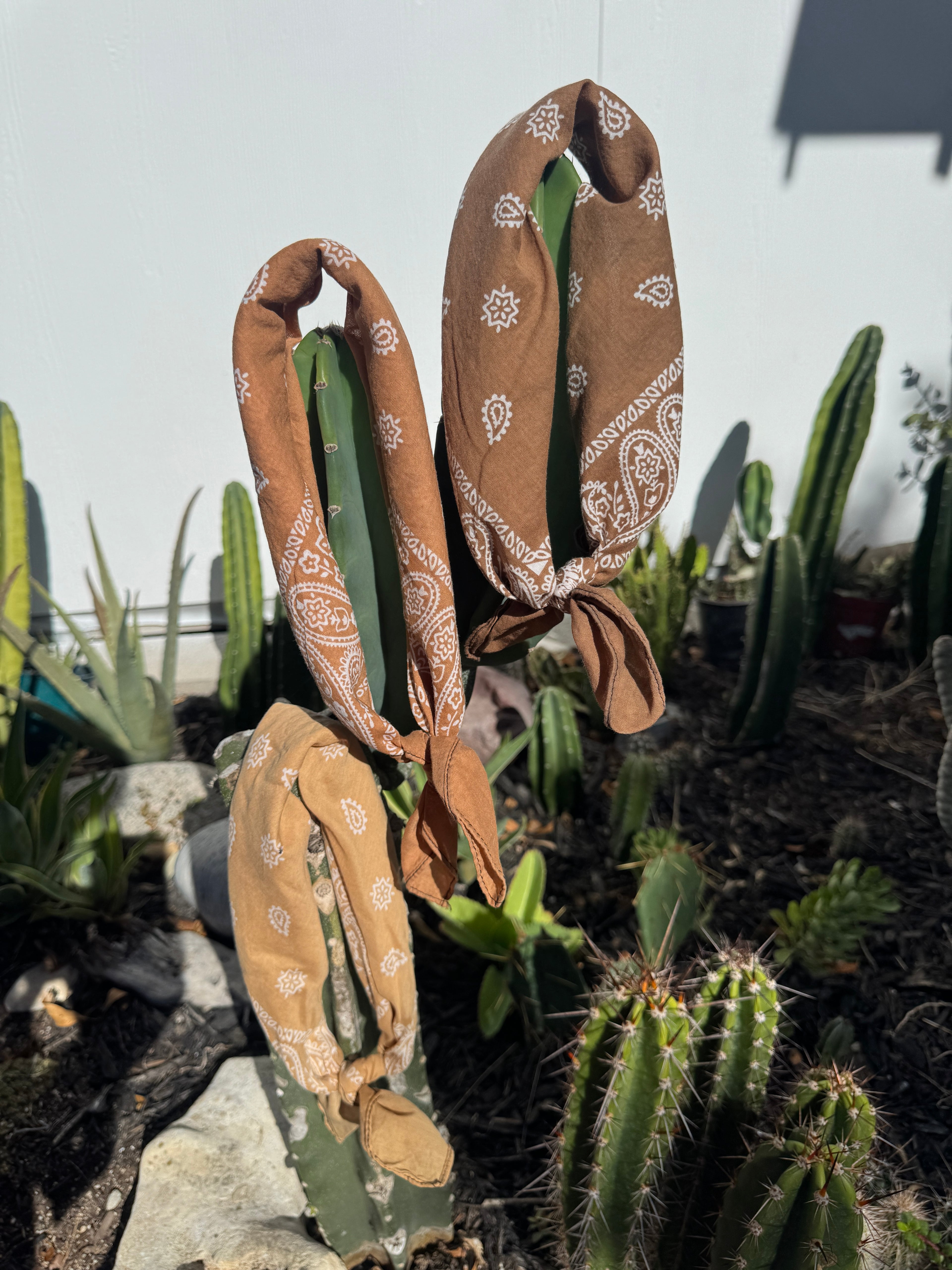 5- Terracotta Mix Bandanas